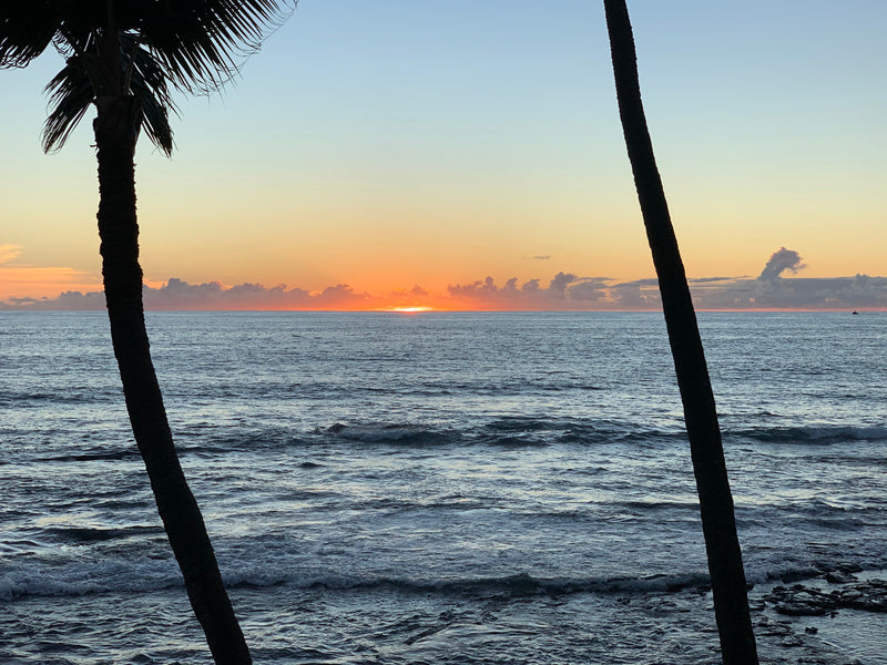 The Mental Health Benefits of Golf