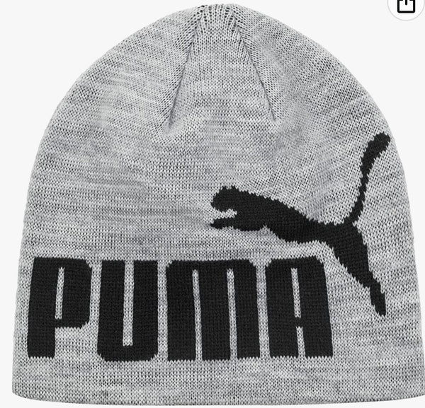 Gorro con el logotipo de PUMA Evercat